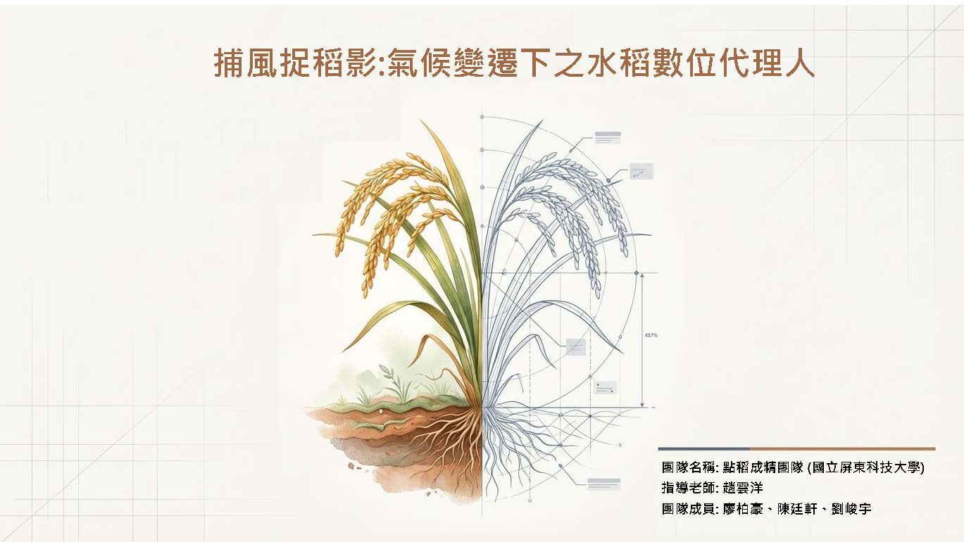隊伍照片